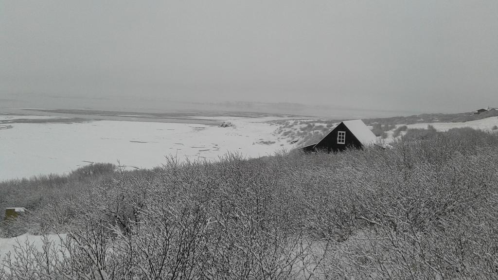 Black Timber House Боргарнес Екстериор снимка